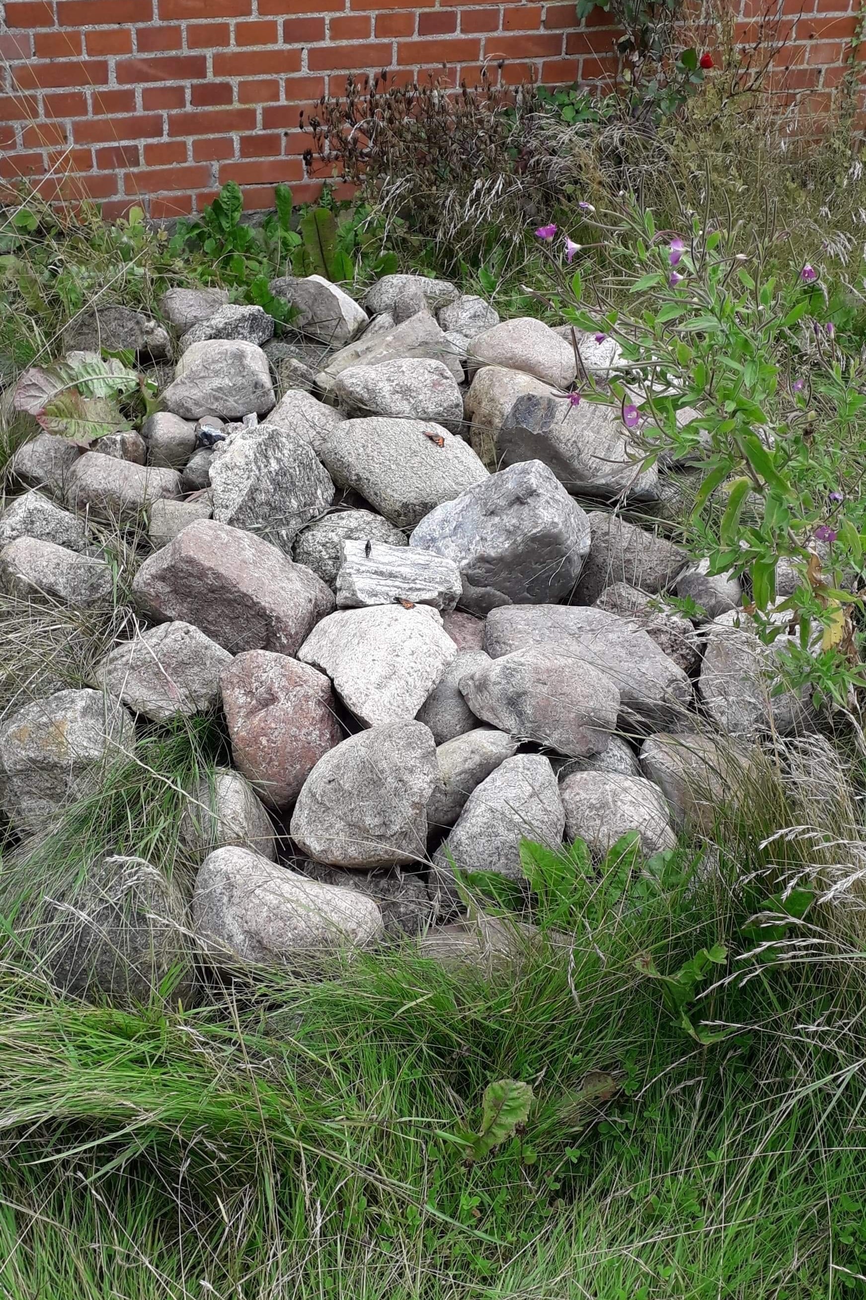 Det er en rigtig god ide, at have stendynger i haven, og helst et sted, hvor solen tidligt rammer stenene og opvarmer dem.