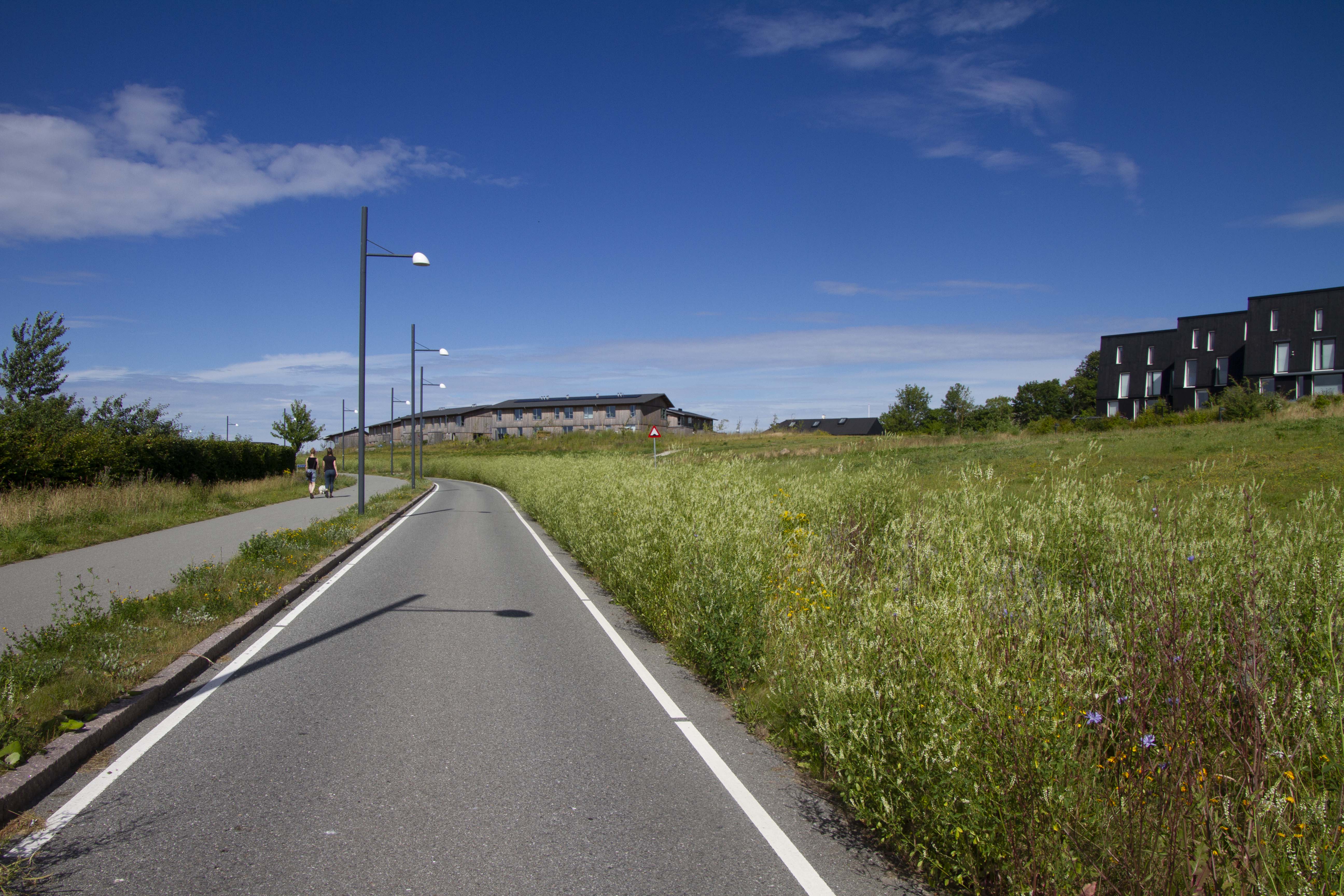 Klimaindsatser Og Biodiversitet - Roskilde Kommune